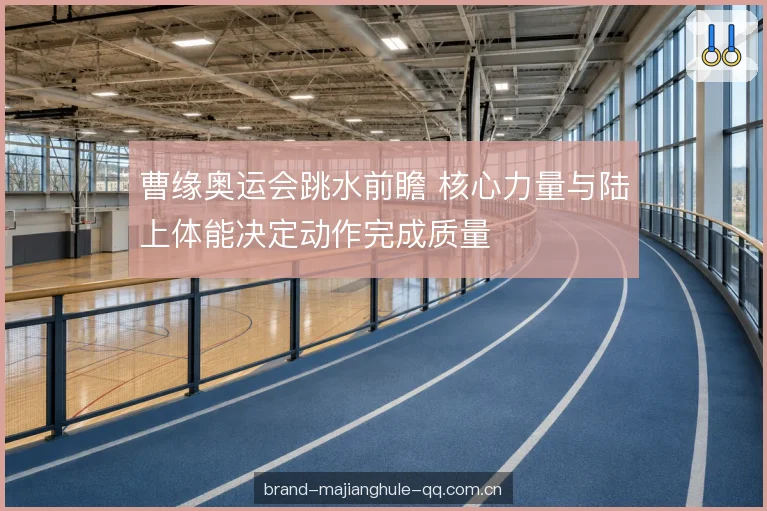 曹缘奥运会跳水前瞻 核心力量与陆上体能决定动作完成质量